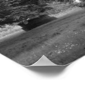 マグノリアの木々の中でBW ポスター (角)