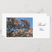 マグノリアの木の花 – ありがとう サンキューカード (正面/裏面)