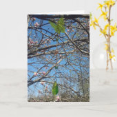 マグノリアの木の風鈴考えのAbout Youカード カード (黄色い花)