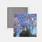 マグノリアの木...... マグネット (正面/裏面)