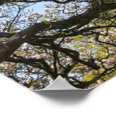 マグノリアの木、枝、花02 ポスター (角)