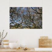 マグノリアの木、枝、花02 ポスター (キッチン)