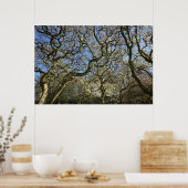 マグノリアの木、枝、花03 ポスター (キッチン)