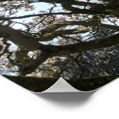 マグノリアの木、枝、花05 ポスター (角)