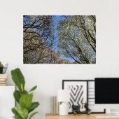 マグノリアの木、枝、花 ポスター (ホームオフィス)