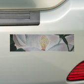 マグノリアの花の油絵 バンパーステッカー (車上)