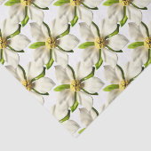 マグノリアの花開く　トロピカルフラワー　サマーのウェディング 薄葉紙 (詳細)