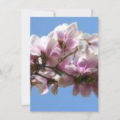 マグノリアの花 (裏面)