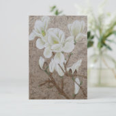 マグノリアの花 (スタンド正面)