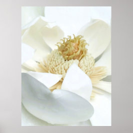 マグノリアの花 ポスター