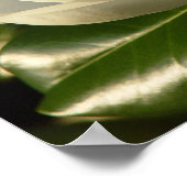 マグノリアの花 ポスター (角)