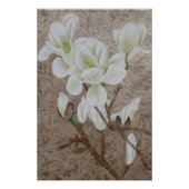 マグノリアの花 ポスター (正面)