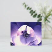 マグノリアの花 ポストカード (スタンド正面)