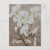 マグノリアの花 ポストカード (正面)