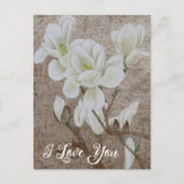 マグノリアの花 ポストカード (正面)