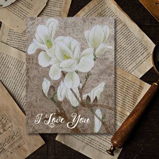 マグノリアの花 ポストカード