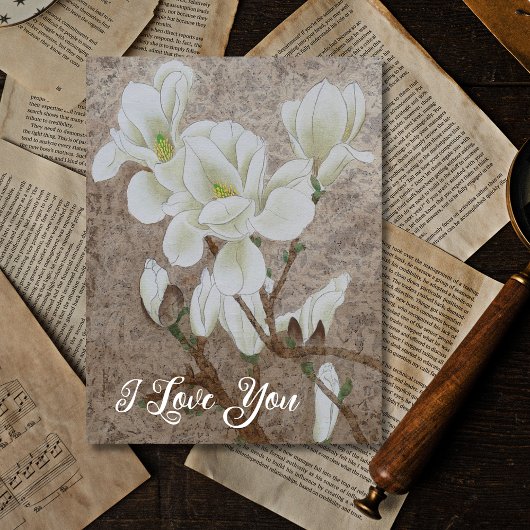 マグノリアの花 ポストカード