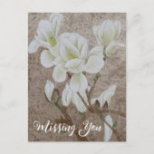 マグノリアの花 ポストカード (正面)