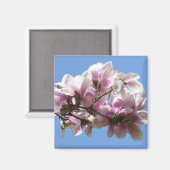 マグノリアの花 マグネット (正面/裏面)