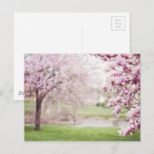 マグノリアの開花 ポストカード (正面/裏面)