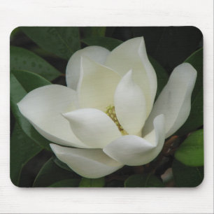 マグノリアの開花 マウスパッド