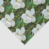 マグノリアはティッシュペーパー開きます 薄葉紙 (詳細)