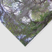 マグノリアガーデンズプランテーションリバーティッシュペーパー 薄葉紙 (詳細)