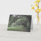 マグノリアガーデンズライブオーク空白のツリー カード (黄色い花)