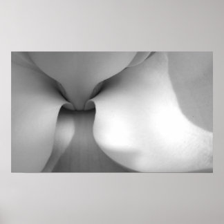 マグノリアキャンバス印刷 ポスター