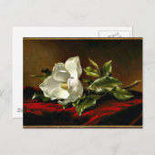 マグノリアグランディフローラアートワーク ポストカード (正面/裏面)