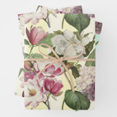 マグノリアスとアジサイヴィンテージ植物学 ラッピングペーパーシート (インサイチュ)