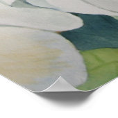 マグノリアスのポスター ポスター (角)