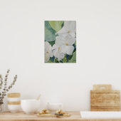 マグノリアスのポスター ポスター (キッチン)