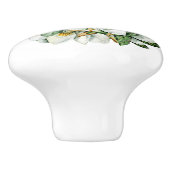 マグノリアス・セラミック引出しノブ セラミックノブ (側面)