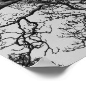 マグノリアツリーブランチ ポスター (角)