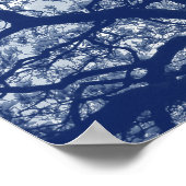 マグノリアツリー – シアノタイプ効果 ポスター (角)