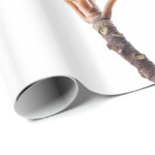 マグノリアフラワーホワイトマグノリアスフローラブロッサム ラッピングペーパー (ロールコーナー)