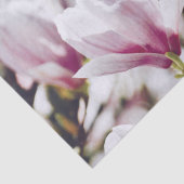 マグノリアフローラ植物花ヴィンテージアンティーク 薄葉紙 (詳細)