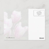 マグノリアブランチ ポストカード (裏面)