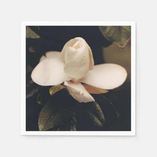 マグノリアブロッサム付きカクテルナプキンスデザイン スタンダードカクテルナプキン (正面)