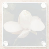 マグノリアブロッサム付きガラスコースターデザイン ガラスコースター (裏面)