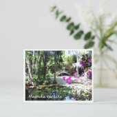 マグノリアプランテーションガーデンズチャールストンSCポストカード ポストカード (スタンド正面)