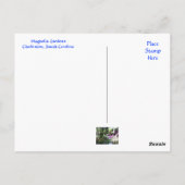 マグノリアプランテーションガーデンズチャールストンSCポストカード ポストカード (裏面)