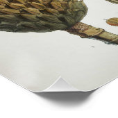 マグノリアホジソニ ポスター (コーナー)