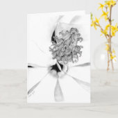 マグノリア中心 カード (黄色い花)