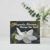 マグノリア州ミシシッピフローラ写真 ポストカード (スタンド正面)