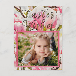 マグノリア復活祭の写真はがき ポストカード