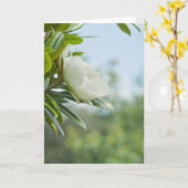 マグノリア挨拶カード カード (黄色い花)