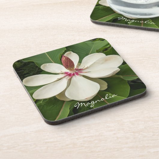 マグノリア日本のブロッサムフローラ コースター (左側)