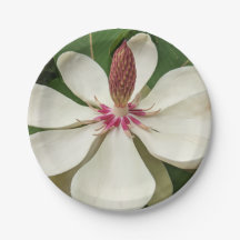 マグノリア日本のブロッサムフローラ